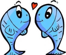 ˫������������ ���������һ�����