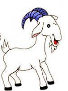 Ħ������ô�Ը���� Ħ�������������