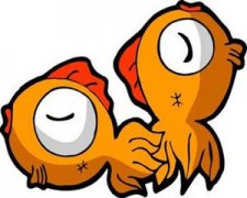 ˫�������˲�����ô�� ˫����������˵�