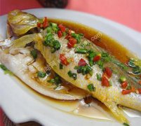 �����ƻ������� ������ʳ֮�ƻ���