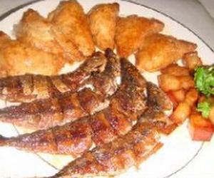 炖鲅鱼豆腐饺子