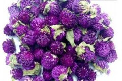 ǧ�պ컨��ĸ����� ǧ�պ컨������Щ������