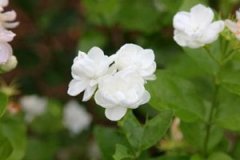 ���򻨲����������Щ ���򻨲���ݷ�