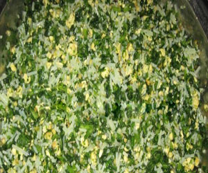 �ؽ�����