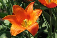 �ٺϻ��Ĺ�Ч�����ü����ɶ�����Щ��