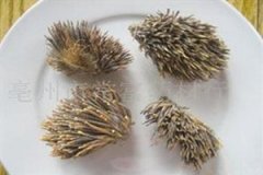 ���Ƥ�Ĺ�Ч����������Щ ���Ƥ��ע������