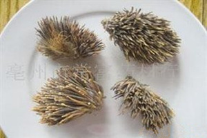 ���Ƥ�Ĺ�Ч������