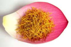 ����Ĺ�Ч����Щ �������������Щ����