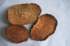 ��ҩ�Ӹ����� ��ҩ������Щ��������