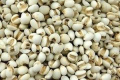 ��޲�׵ĺô�����Щ ޲�׶���������Щ�ô���