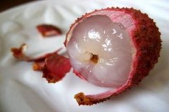 ����֦�ĺô�����Щ ��֦���˶�������ʲô�ô�