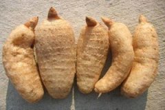 ����Ĺ�Ч������ ����Ľ�������Щ��