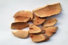 Ұ���Ѹ������� Ұ���Ѹ���ʳ�÷�������Щ