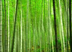 ��Ͳ��Ҫ��ôŪ�������ֺó�