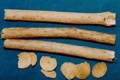 ��ľͨ�ĸ����� ��ľͨ��������Щ��������