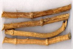 ��ľͨ�������빦Ч����Щ ��ľͨ��ʲô����