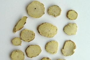 ��ľͨ�Ĺ�Ч������