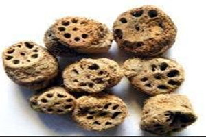 ź��̿�Ĺ�Ч������