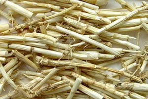 ��é���Ĺ�Ч������