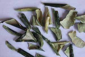 ����Ƥ�������빦Ч