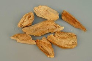 松节的功效与作用