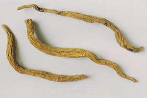 �ٲ��Ĺ�Ч������