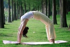 ���켹�����ߵ��٤��ʽ֮�����٤������