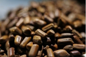 ��������ͷ�Ĺ�Ч������