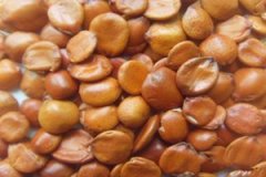 ����������ʧ��ƫ������Щ ��������������ʧ��