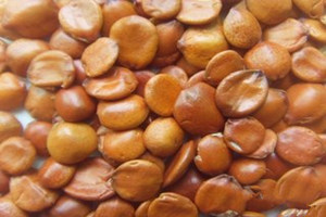 ����������ʧ��ƫ��