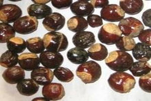 ���ۺ˵Ĺ�Ч������