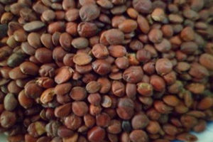 �����ʵĸ�����