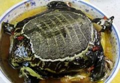 ������������������ ��ô���������������