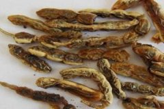 ���ǵĹ�Ч�����ü�ʳ�÷���������Щ��