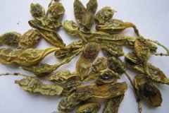 ���ǵĹ�Ч����������Щ ���ǵ����÷���