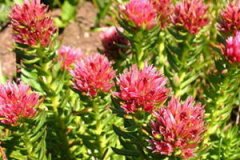 �쾰��ĸ���������Щ �쾰���ע������