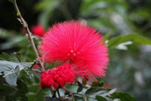 �ϻ����Ĺ�Ч������