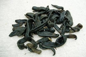 ˮ�εĹ�Ч������