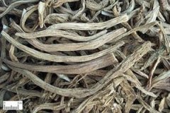 ���ϵĹ�Ч����������Щ ���ϵ���ҩ����