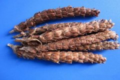 �Ŀݲݵĸ���������Щ �Ŀݲݵ�ʳ�Ʒ���