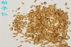 �����ʵĹ�Ч����������Щ �����ʵĽ���