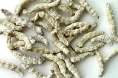 ���Ϲ�Ч����������Щ ��������ЩӦ��