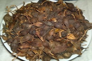 ���̵Ĺ�Ч������