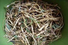 ��˸��Ĺ�Ч����������Щ ��˸����÷�����