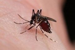 ����������������Щ ��ô����������