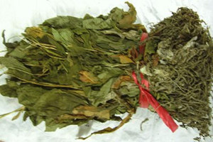 ��Ѫ��Ĺ�Ч����