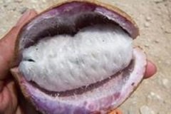 �򿪿ڵĹ�Ч������ �򿪿ڵ�ע������