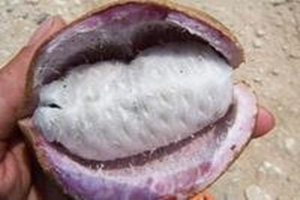 �򿪿ڵĹ�Ч������