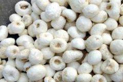 ���ĵĸ�������ʲô ���ĵ���ҩ����