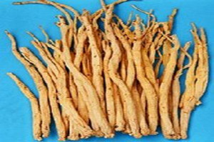 �������뵳�ε�����